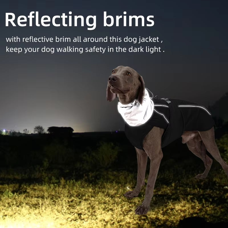 Luxury Winter Dog Jacket - Waterproof, Soft Padded, Warm Coat for Small to Large Dogs with Reflective Safety Features