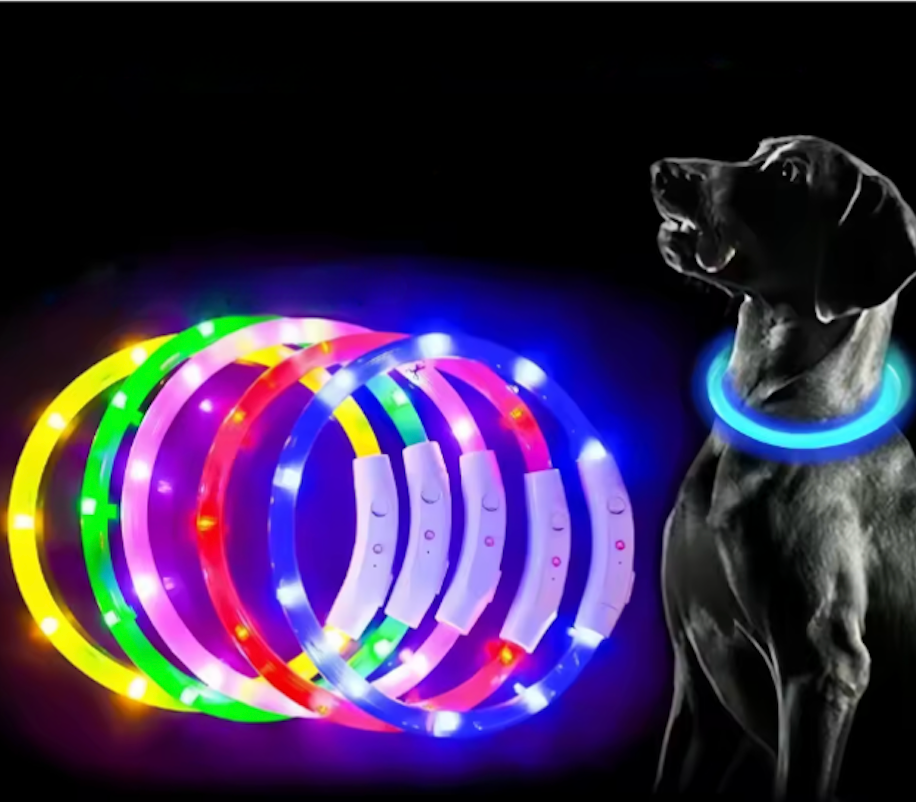 LED Dog Collar – USB Rechargeable, Luminous Anti-Lost Pet Necklace for Night Safety