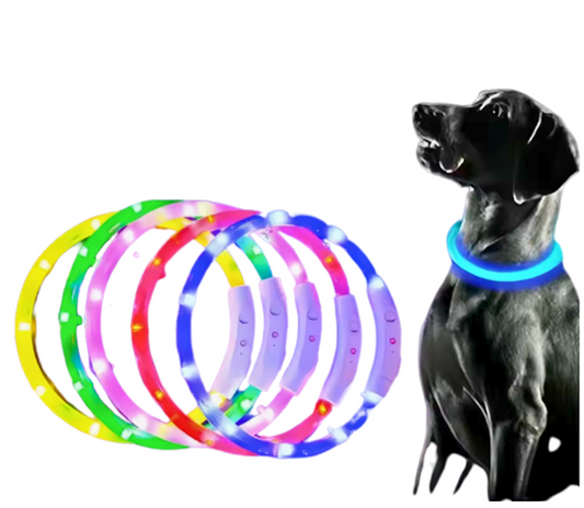 LED Dog Collar – USB Rechargeable, Luminous Anti-Lost Pet Necklace for Night Safety