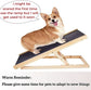 Dayplus Adjustable Wooden Pet Ramp – 2-Height Dog Ladder with Non-Slip Carpet, Safe Access Stair for Pets