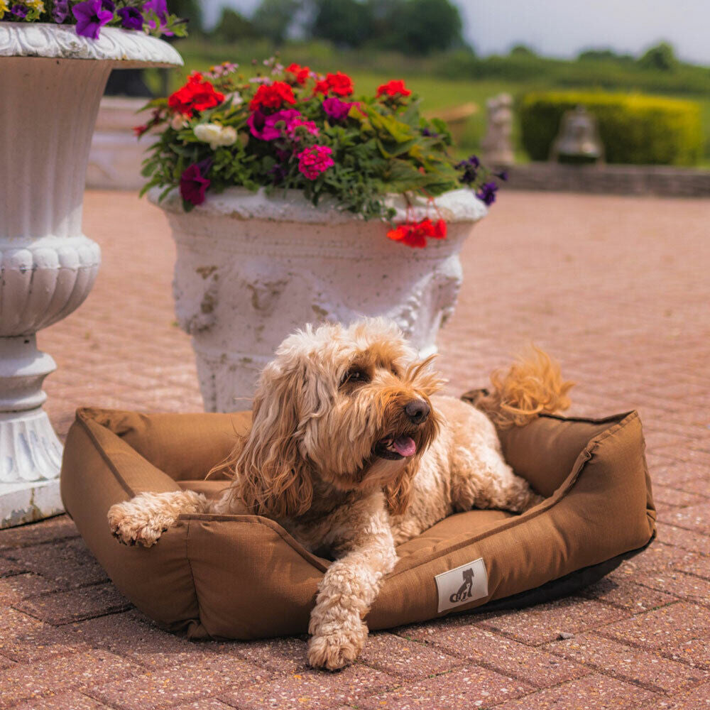 All Pet Solutions Dexter Dog Bed - Soft Waterproof Washable Hardwearing Basket