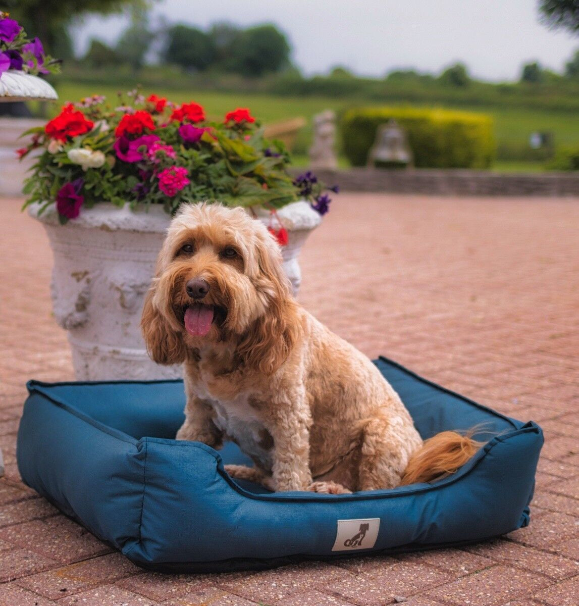 All Pet Solutions Dexter Dog Bed - Soft Waterproof Washable Hardwearing Basket