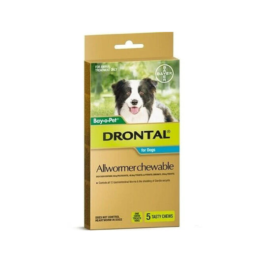 Drontal Allwormer Chewables for Medium Dogs up to 22Lbs(10Kg)