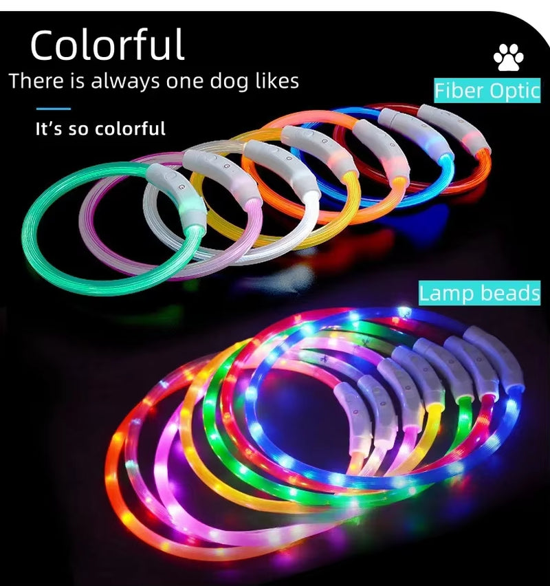 LED Dog Collar – USB Rechargeable, Luminous Anti-Lost Pet Necklace for Night Safety