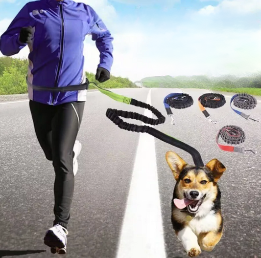 Hands-Free Dog Leash with Adjustable Waist Belt – Perfect for Walking, Running & Jogging