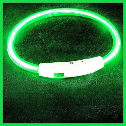 LED Dog Collar – USB Rechargeable, Luminous Anti-Lost Pet Necklace for Night Safety