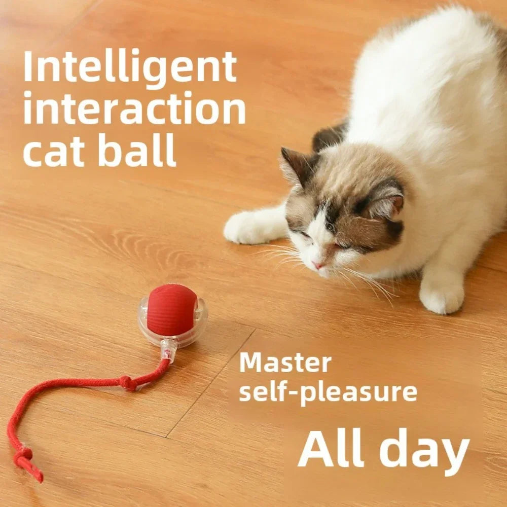 Rechargeable Smart Interactive Rolling Ball Toy for Pets - Electric Dog Ball & Simulated Tail for Cats