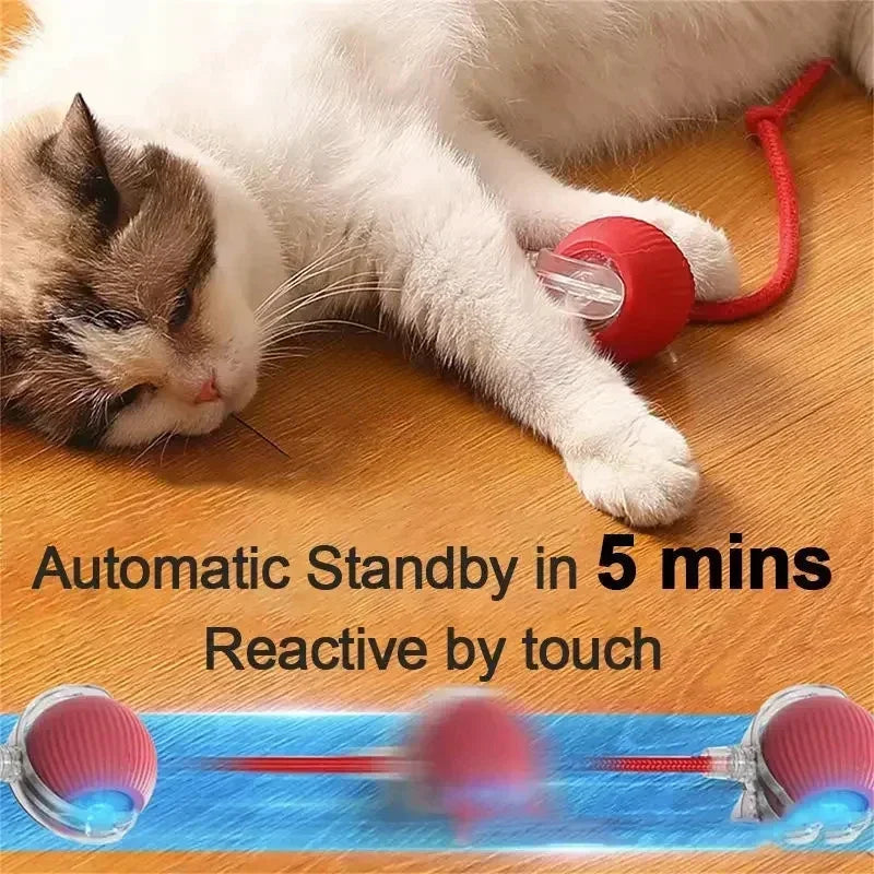 Rechargeable Smart Interactive Rolling Ball Toy for Pets - Electric Dog Ball & Simulated Tail for Cats