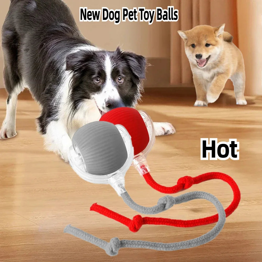 Rechargeable Smart Interactive Rolling Ball Toy for Pets - Electric Dog Ball & Simulated Tail for Cats