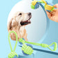 Interactive Dog Toys - Sturdy Tug Ropes, Non Toxic Cotton Rope Ball & Chew Toys for Puppies, Small & Large Dogs, Dental Care Accessories