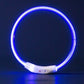 LED Dog Collar – USB Rechargeable, Luminous Anti-Lost Pet Necklace for Night Safety