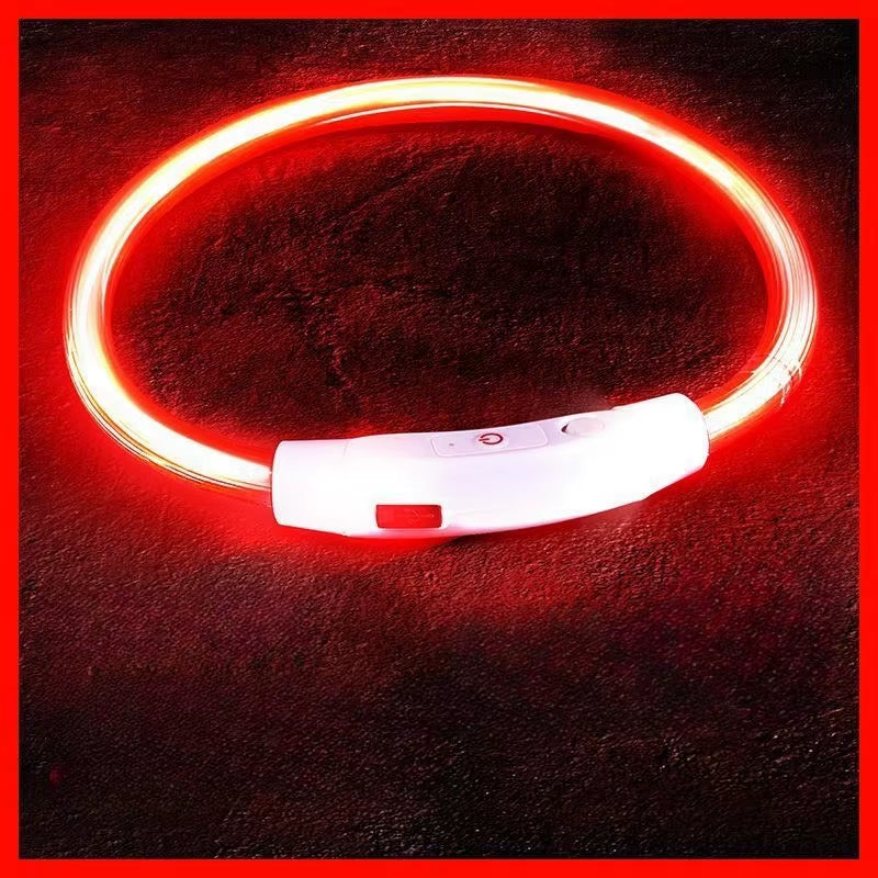 LED Dog Collar – USB Rechargeable, Luminous Anti-Lost Pet Necklace for Night Safety