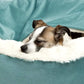 Orthopedic Dog & Cat Bed with Hooded Blanket – Winter Warm, Waterproof, and Dirt-Resistant