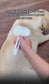 Steamy Pro - Professional Pet Grooming Brush for Dogs and Cats